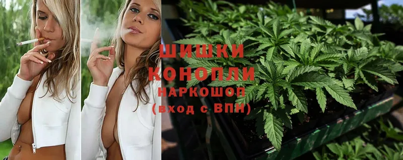 наркотики  Ртищево  МАРИХУАНА SATIVA & INDICA 